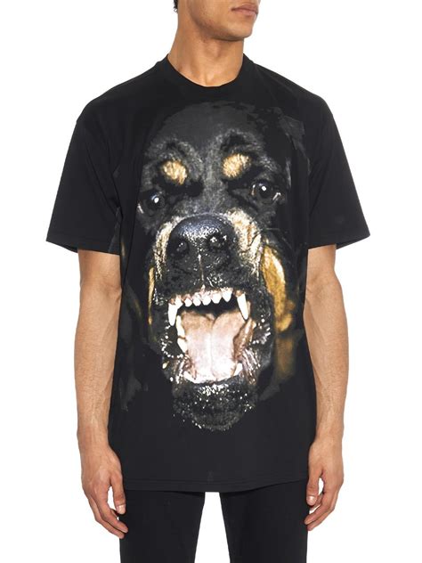 givenchy polo rotttewiwelr|Givenchy Rottweiler T Shirt for sale .